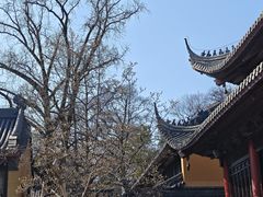 -灵谷景区