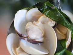 -大水车公馆·顺德菜·妈姐菜(均安店)