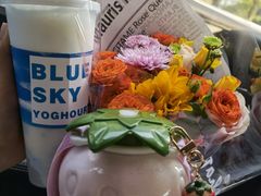 -白色日记·手作酸奶(麦凯乐店)