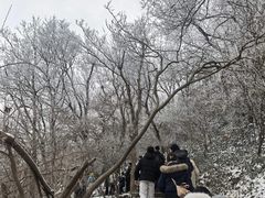 -紫金山山顶公园