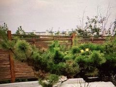 -郑州银基黄帝宫御温泉