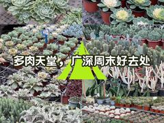 -科兴科学园