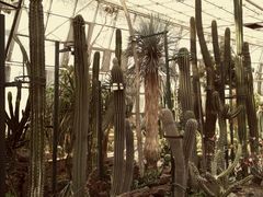 -北京植物园-展览温室