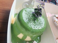 -狐狸和向日葵(北京路店)