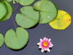 -大连植物园