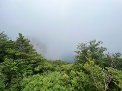 -牛背梁国家森林公园