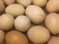 -五谷屯私房菜·始于2005(中山陵童卫路店)