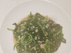 -杨氏青龙虾·羊蝎子(托乐嘉店)