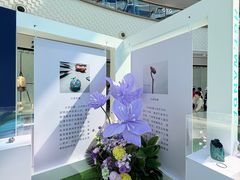 -万达广场(南昌红谷滩店)