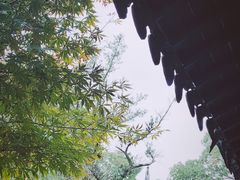 -月湖公园