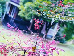 -西溪南古村落景区