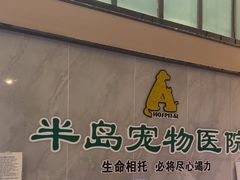 -半岛宠物医院24小时(科华中路店)