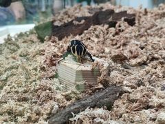 -中国杭州低碳科技馆