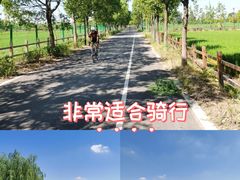 -嘉北郊野公园