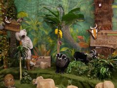 -济州岛泰迪熊博物馆