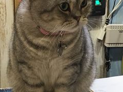 -小时光咖啡馆(开森度假森林店)