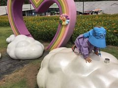 -野狸岛