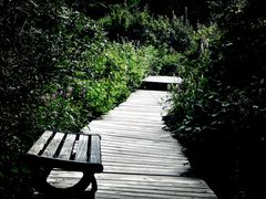 -白草畔自然风景区