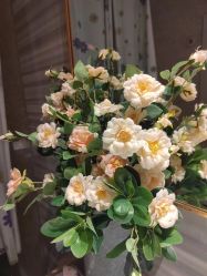 -香秀空间科技抗衰·美容中心