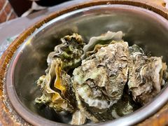 高压锅生蚝-狮龙啤酒烧烤屋(建二路店)