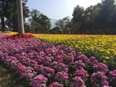-广州市流溪河国家森林公园