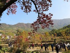 -塔川景区