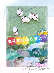 -萌宠亲子动物乐园(槐房万达店)