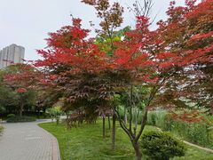 -木塔寺遗址生态公园