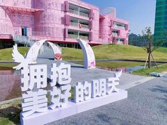 -杭州观成实验学校