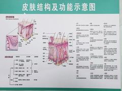 -万达广场(龙湖店)