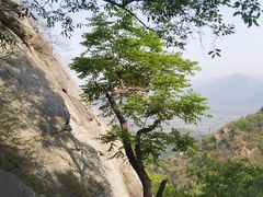 -北京鹫峰国家森林公园