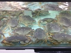-盒马渔市餐厅