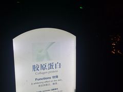 -深圳东部华侨城茵特拉根酒店