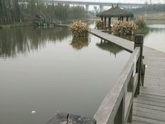 -白鹭湾湿地公园