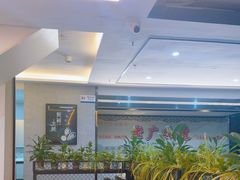 -东记炭炉·海鲜鸡煲(龙华店)