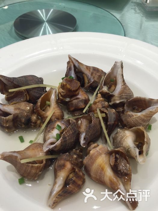 星海渔港图片 - 第535张