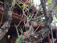 -Lam Vien Restaurant