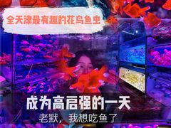 -中环花鸟鱼虫市场