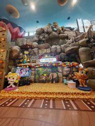 -卡通尼·Safari非洲探索乐园·生日会(金桥国际商业广场店)