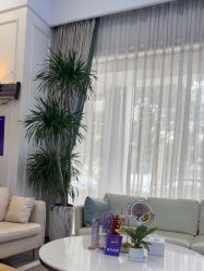 -美莱医疗美容医院