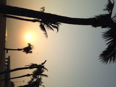 白城沙滩-白城沙滩