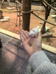 -Zoolung Zoolung动物主题公园(海信广场店)