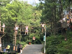 -梦幻奥陶纪景区