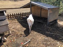 -潭柘厚院(桑峪村店)