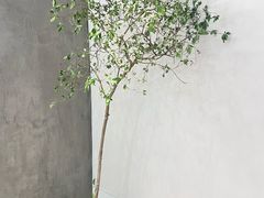 -喜茶(常州新北万达店)
