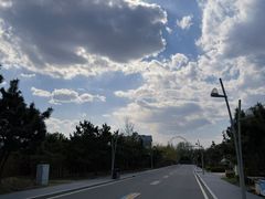 -山东八大碗山东老字号