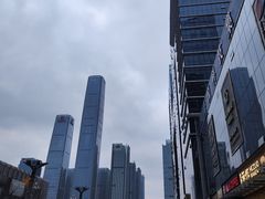 -金牌罗记肠旺面(蔡家街店)
