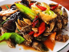 -坛南湾阿强农家乐.海鲜大排档老字号(福州地标美食店)