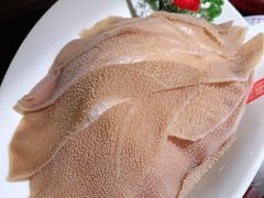 -九鼎轩脆毛肚火锅(三钢里店)