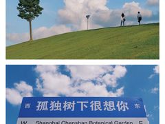 -上海辰山植物园